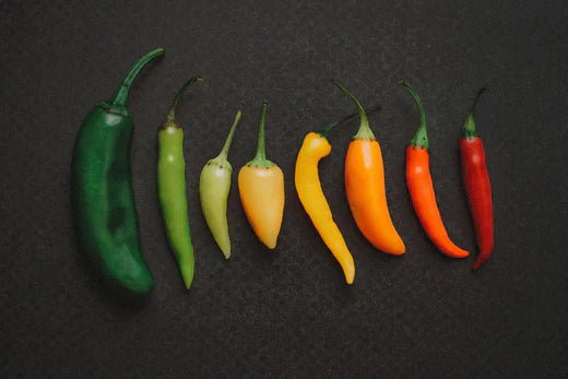 What is the Spiciest Pepper in the World?